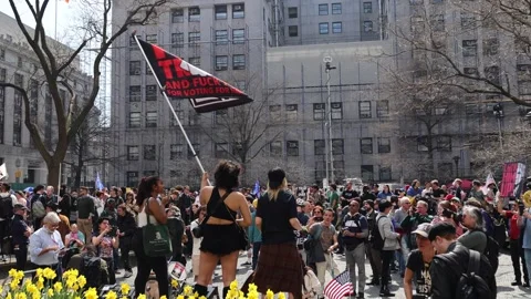 8O8A1120 Stock Footage 251376519