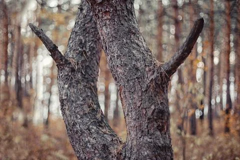 9-1 Fotos de archivo