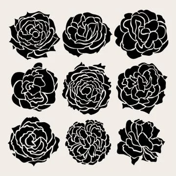 9 decorative roses. design element. wedding invitations, cards, banners Stock Illustration