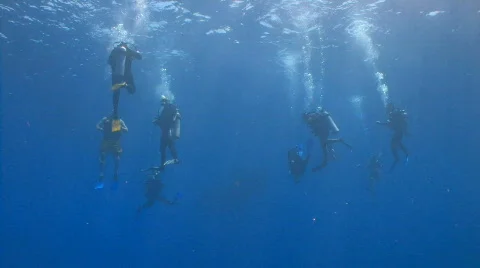 9 Divers decending Stock Footage 660804