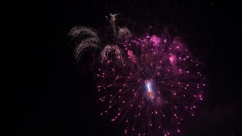 การแสดงพลุ ดอกไม้ 9 스톡 동영상 104917023