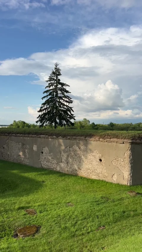 9 forth of Kaunas city monument jews, 2025 july 25 Stock Footage 313725624