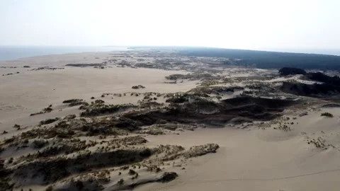 9 large desert, drought sets in, sand covers all vegetation Stock Footage 266939566