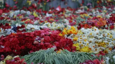 9 may 3 Video stock 10990481