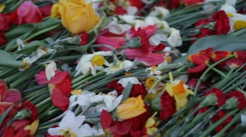 9 may 5 Video stock 10990780