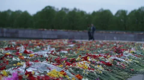 9 may 6 Video stock 10990831