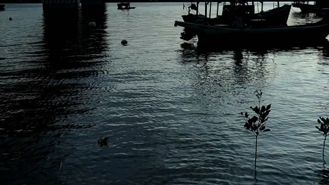 9 Seascape Time Lapse Right Up Stock Footage 146524958