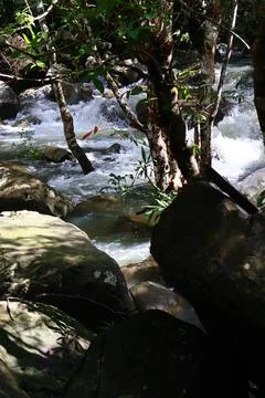 9 Steps Waterfall Cascading Through Lush Jungle in Kampot, Cambodia Foto stock