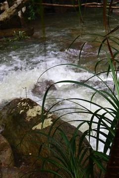 9 Steps Waterfall Cascading Through Lush Jungle in Kampot, Cambodia Foto stock