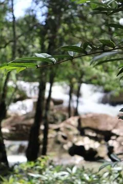 9 Steps Waterfall Cascading Through Lush Jungle in Kampot, Cambodia Foto stock