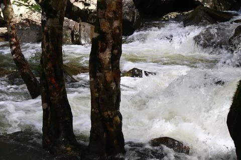 9 Steps Waterfall Cascading Through Lush Jungle in Kampot, Cambodia Foto stock