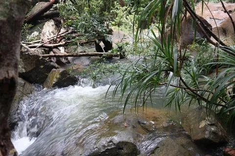 9 Steps Waterfall Flowing Through Lush Tropical Jungle in Kampot, Cambodia Stock Photos