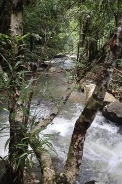 9 Steps Waterfall Flowing Through Lush Tropical Jungle in Kampot, Cambodia Stock Photos