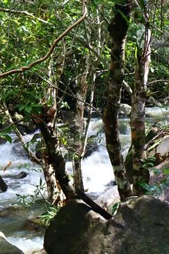 9 Steps Waterfall Flowing Through Lush Tropical Jungle in Kampot, Cambodia Stock Photos