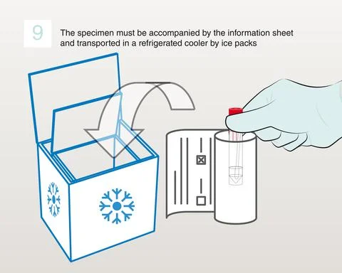 9-Storage de specimen with sheet Illustration