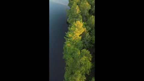 9 x 16 Vertical Caribou shore over trees 7-26-26 Stock Footage 341108669