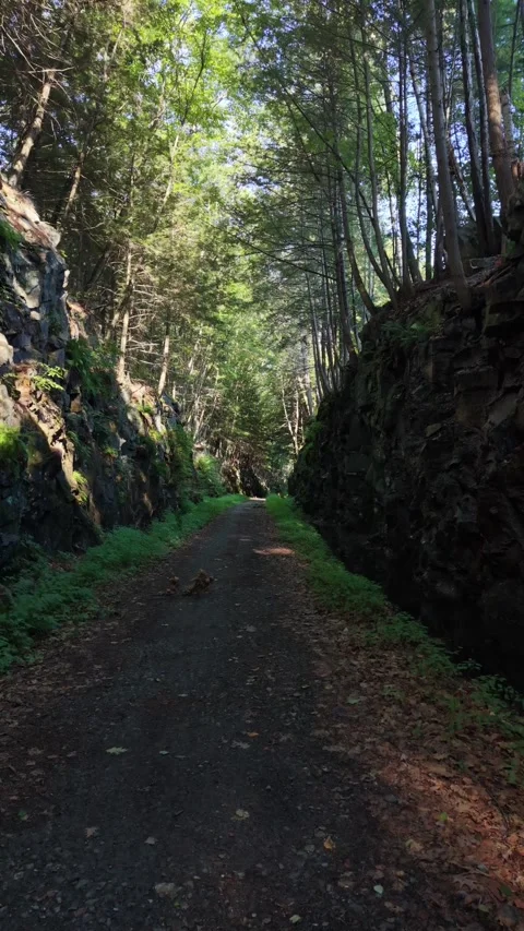9 x 16 Vertical Down RR trail Keene  8-4-26 Stock Footage 341640936