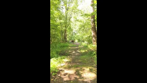 9 x 16 Vertical Down trail N Walpole 8-4-26 Video stock 345450693