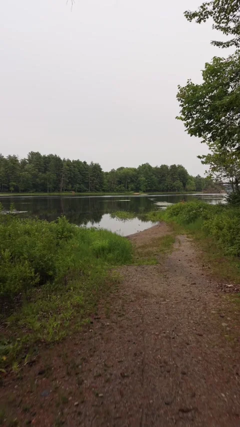 9 x 16 Vertical Stump Road Flood Pond Birds 7-14-26 Stock Footage 340175609