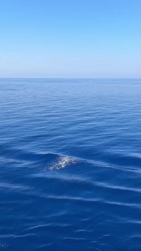 9 x 16 Vertical video calm blue ocean from cruise ship 8-20-26 Stock Footage 343967289