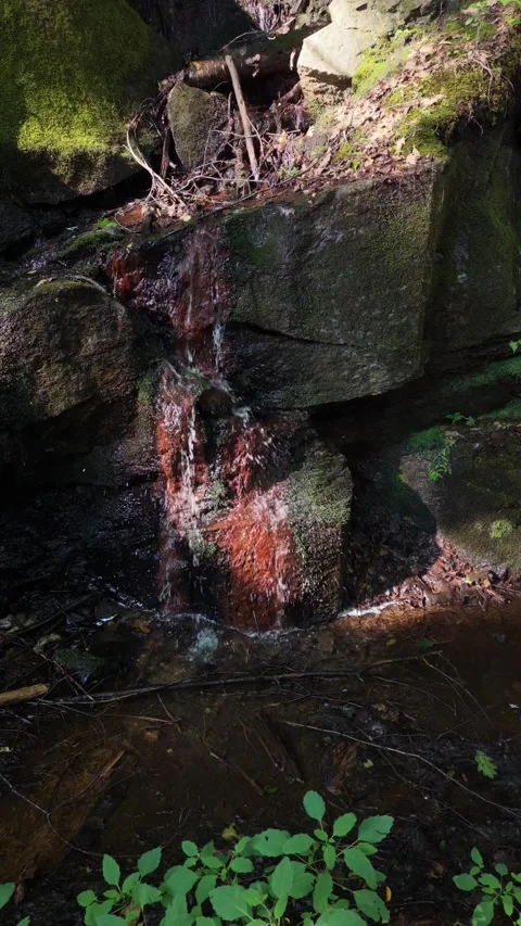 9 x 16 water running RR trail Keene 8-4-26 Stock Footage 341709852