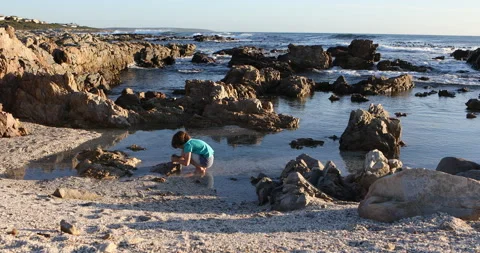 9 year old boy exploring rocky coastline, DeKelders, Western Cape, South Africa Video stock 202524960