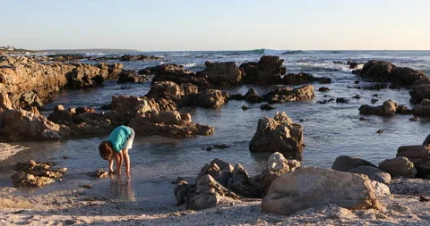 9 year old boy exploring rocky coastline, DeKelders, Western Cape, South Africa Stock Footage 202530157