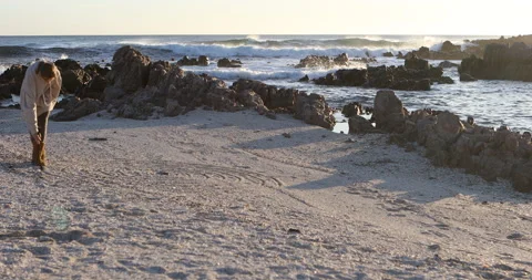 9 year old boy exploring rocky coastline Video stock 202534493