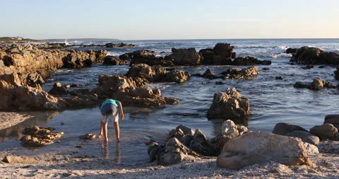 9 year old boy exploring rocky coastline, DeKelders, Western Cape, South Africa Stock Footage 202534768