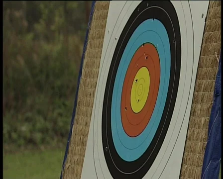 90 arrows on target Stock Footage 371132