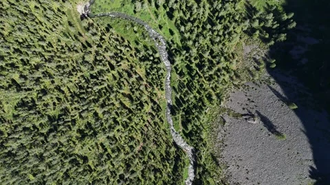 A 90-degree angle shot featuring a forest and a river in the Altai Mountains. Stock Footage 345184733