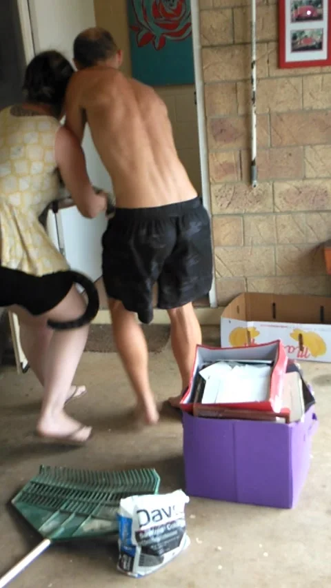 90 Pound Python Found in Laundry Room, Mission Beach, Queensland, Australia - 15 库存影片 205230652