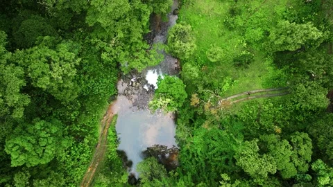 900 Kandi Wayanad Stock Footage 315065308