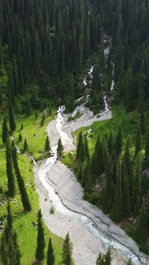 9:16: Aerial Push In Toward Cascading Mountain River in Lush Green Forest Video stock 331593048