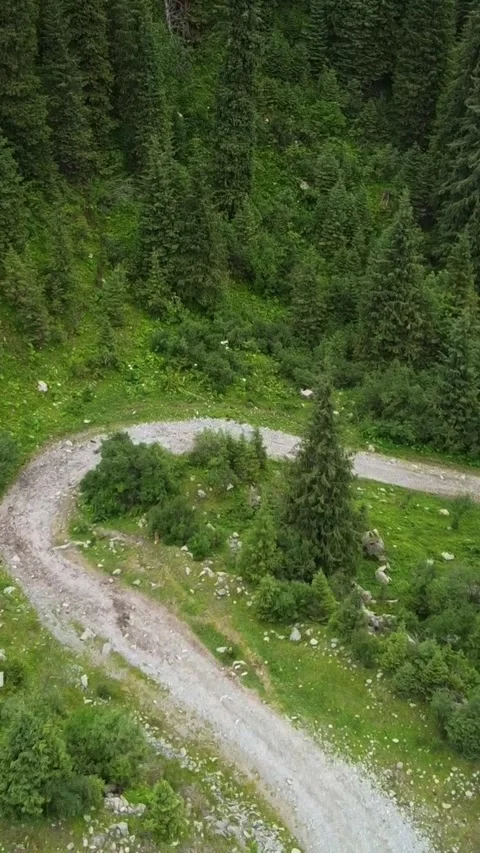  9:16:Aerial View Of Empty Mountain Road Serpentine. Kyrgyzstan, Karakol Видео 333621973