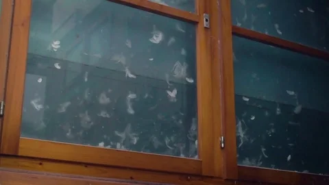 947 Slow motion video of the flakes of down flying inside the selecting machi Video stock 71636563