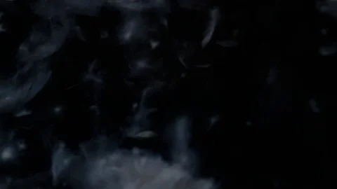 951 Slow motion video of the flakes of down moving in the dark Stock-Footage 74554833
