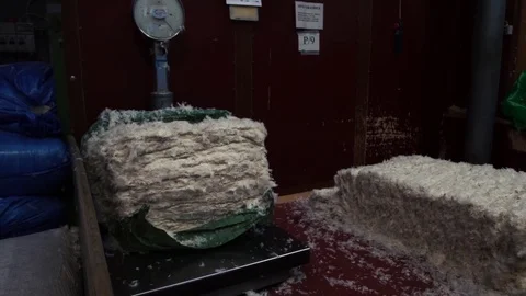 953 Blocks of waste feathers in the down manufacturing factory 스톡 동영상 71637159