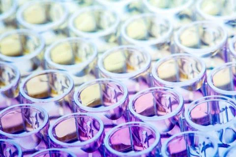 96 well with samples colored with different dyes 스톡 사진