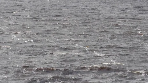 96fps Lake Waves Original Stock Footage 74583086