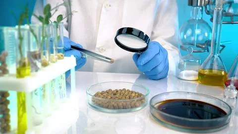 9914 Stock Photos