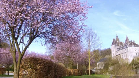 The 9th century castle of small Belgian town Durbuy. Stock Footage 36514114