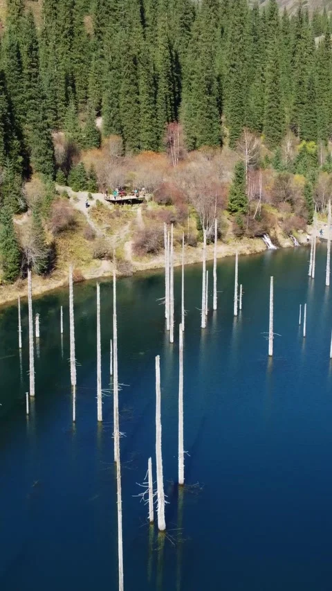 9x16: Drone Glide Over Sunken Trees In Lake. Kazakhstan, Lake Kaindy Stock Footage 332779186