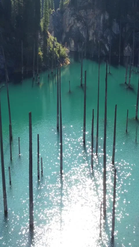 9x16: Low Flight Over Sunken Forest. Kazakhstan, Kolsay Lakes National Park Stock Footage 332779172