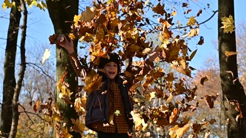 9Z Autumn boy2 Stock Footage 290381888