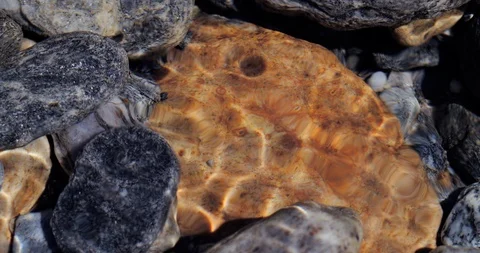 A005 08241908 C022 Stock Footage 115117049