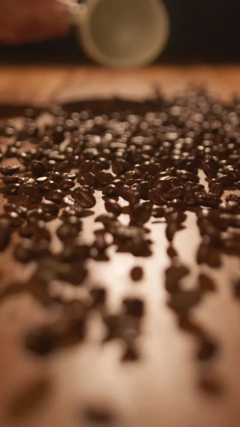 A009 C009 0109R2 001 Dumping Coffee Beans Vertical Stock Footage 218332244