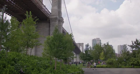 A01609041244C018 Stock Footage 205910823