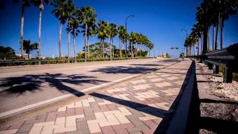 A1A bridge palmtree shadow Stock Photos
