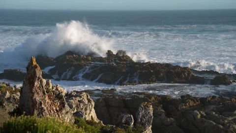 A1R563224 Stock Footage 306840250